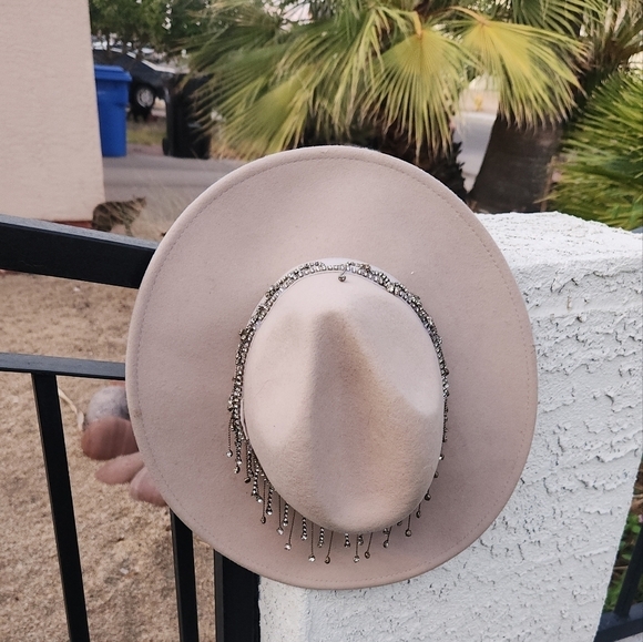 Biltmore for Madewell Crystal Rhinestone strap-on FEDORA - Picture 4 of 5